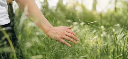 “Go Touch Grass”: A Call for Digital Detox and Connection with Nature