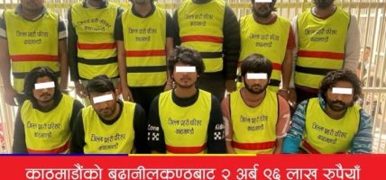 २ अर्ब ९६ लाखभन्दा बढीको अनलाइन जुवा खेलाउने  ११ जना भारतीय नागरिक काठमाडौँबाट पक्राउ