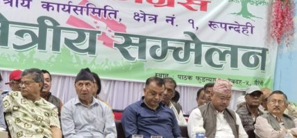 टाउकोले टेकेको सङ्घीयतालाई खुट्टाले टेकेको बनाउन जरुरी : महामन्त्री थापा