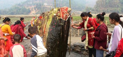 रूखको ठुटोबाट पानी आएको भन्दै स्थानीय चकित