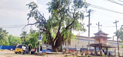 गाउँ गाउँमा सडक विस्तार भएपछि चौतारो जोगाउन डिपिआर संशोधन