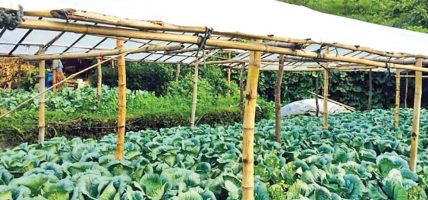 जैविक विषादीको अभियानमा किसान