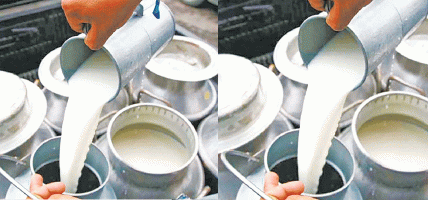 दुध उत्पादक कृषकलाई प्रोत्साहन कार्यक्रम प्रभावकारी