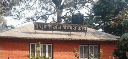 पशुपतिमा आर्थिक हिनामिना गर्ने कर्मचारी बर्खास्त