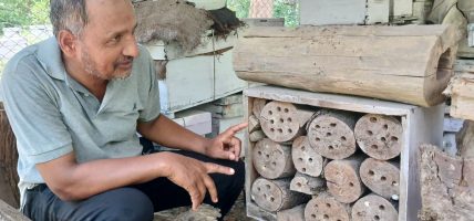 लोपोन्मुख कठ्यौरी र पुत्काको संरक्षणमा पुरमल