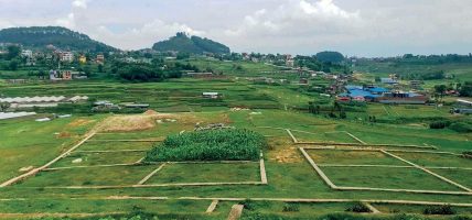 घरजग्गाको कारोबारमा सामान्य सुधार कारोबार वृद्धि