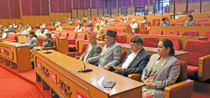 राष्ट्रिय सभाका सदस्यहरूले दरबार हत्याकाण्ड छानबिन गर्न माग