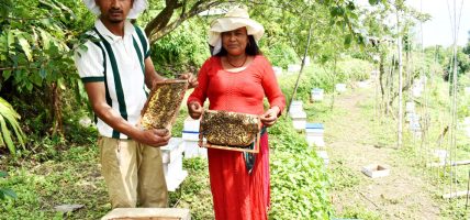 मौरीपालनबाट म्याग्दी जिल्लाकै नमुना कृषककाे अब्बल आम्दानी