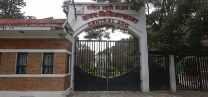 नेपालकाे एकमात्र चिडियाखानामा सन्ध्याकालीन सेवा सुरु भएपछि बढे पर्यटक