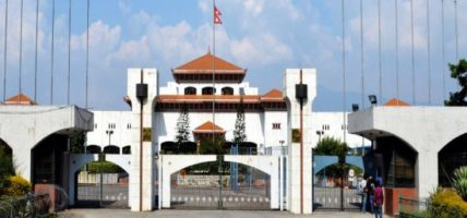 देशको काठको उपयोग नगरी विदेशबाट काठ आयात नगर्न सांसदको माग