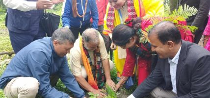 पञ्चमीमा रुद्राक्ष र पिपल रोपियो