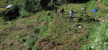 म्याग्दीको बेनीमा  झाडी फाडेर फलफूलखेती