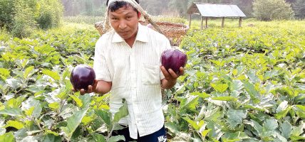 माटोमै खेलेर मासिक तीन लाख