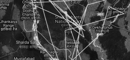 भारततिर गएर मर्दै छन् दुर्लभ गिद्ध