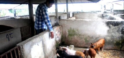 कृषि पशुपालनबाटै वार्षिक करोडबढी आम्दानी