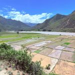खडेरीग्रस्त क्षेत्रमा वर्षा, डेढ महिनाको बीउ रोप्दै किसान खडेरीग्रस्त क्षेत्रमा वर्षा, डेढ महिनाको बीउ रोप्दै किसान