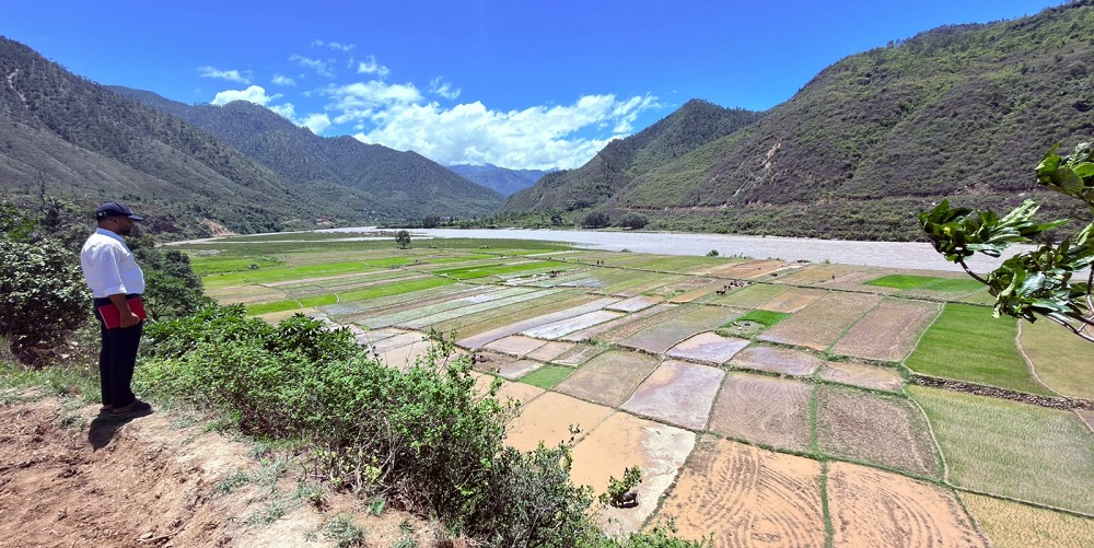 खडेरीग्रस्त क्षेत्रमा वर्षा, डेढ महिनाको बीउ रोप्दै किसान खडेरीग्रस्त क्षेत्रमा वर्षा, डेढ महिनाको बीउ रोप्दै किसान