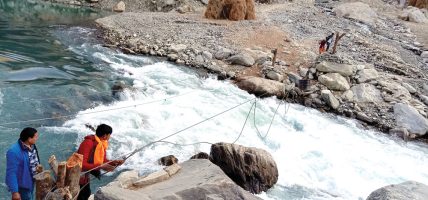 तुइनकै तारमा बाँचेको जीवन