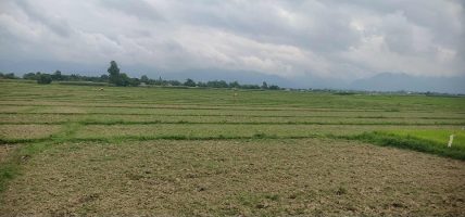 सिँचाइ अभावमा खेत बाँझै, किसान चिन्तित सिँचाइ अभावमा खेत बाँझै, किसान चिन्तित