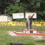 पर्सा राष्ट्रिय निकुञ्जमा ‘बाघ मित्र’ अभियान पर्सा राष्ट्रिय निकुञ्जमा ‘बाघ मित्र’ अभियान
