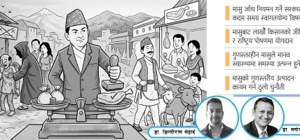 स्वस्थ मानव पुँजी निर्माणको आधार