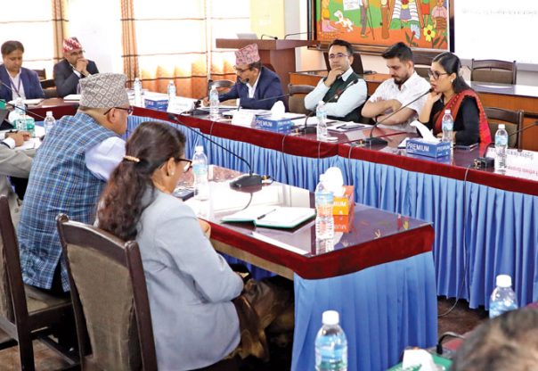 पुनर्स्थापना र पुनर्निर्माणको तयारीमा जुट्दै सरकार